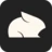 Pika Logo