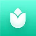 PlantIn plant care identifier Logo