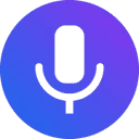 Voiceley Logo