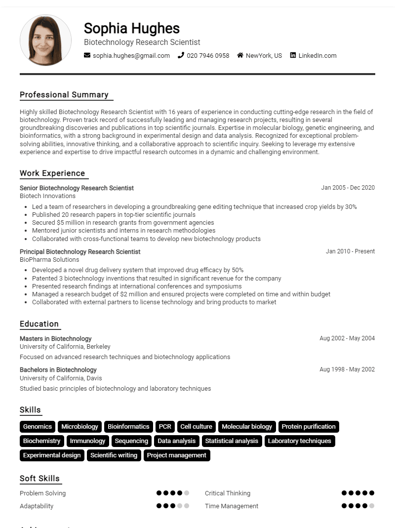 resume template resume template