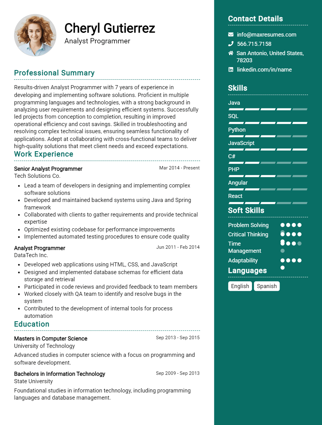 analyst-programmer-resume-sample