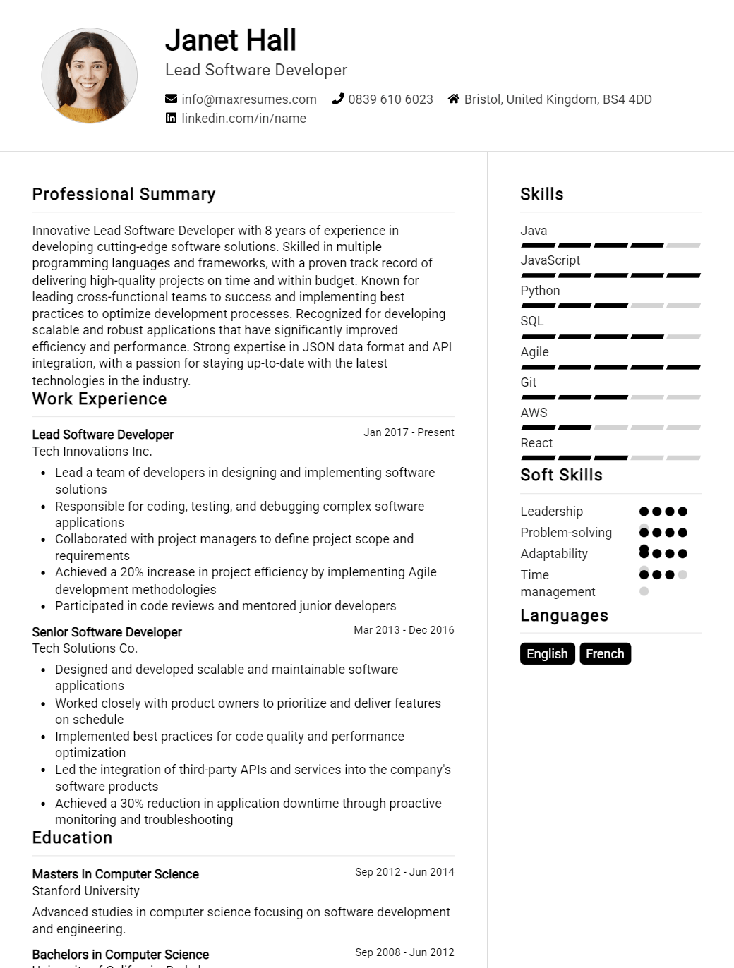 lead-software-developer-resume-sample