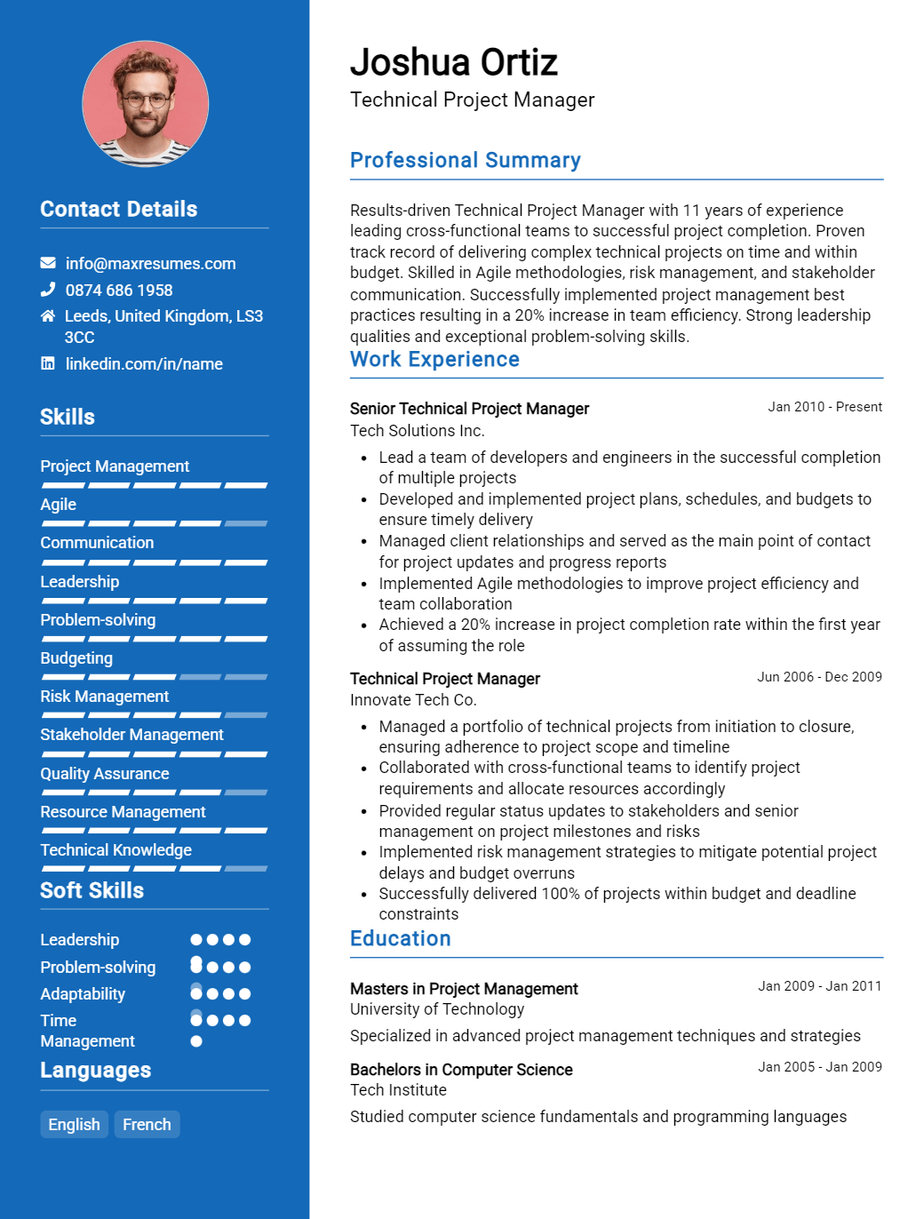 technical-project-manager-resume-sample
