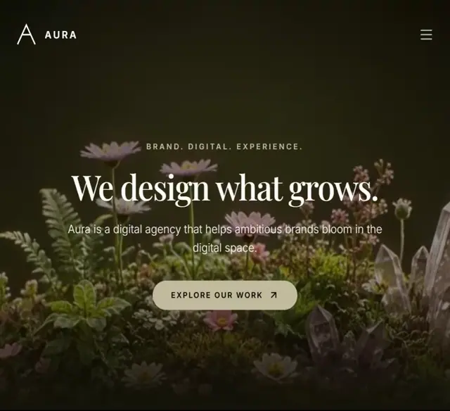 Aura