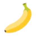 NanoImage Logo