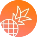 PineappleBuilder Logo