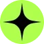 Raizer Logo
