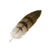 Feather AI Logo