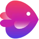 Invideo Logo