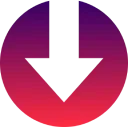 DownTik.app Logo