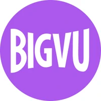 BigVu Logo