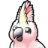 Cockatoo Logo