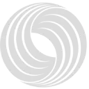 WizAI Logo