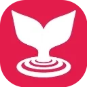 MermaidViewer Logo