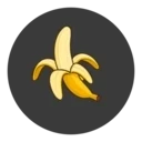 NanoPicAI Logo
